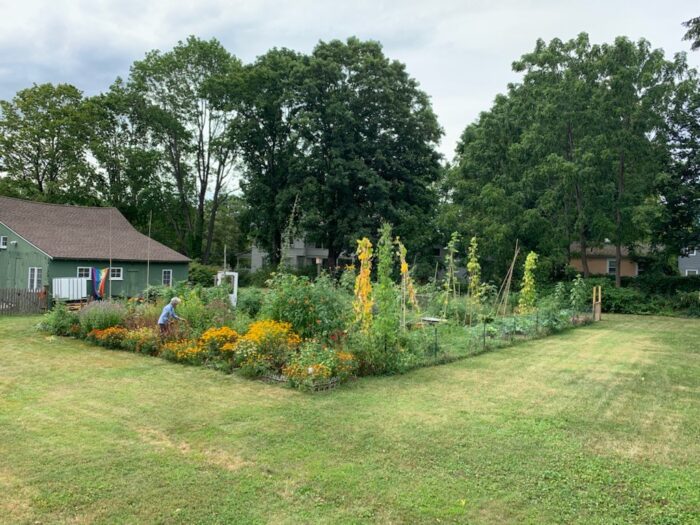 Ten Tips for Starting a Church Garden - United Church of Christ